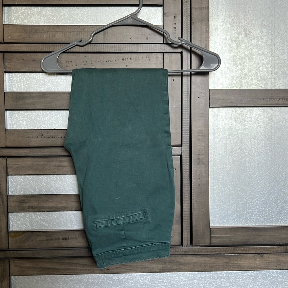 Teal (peacock) Pants